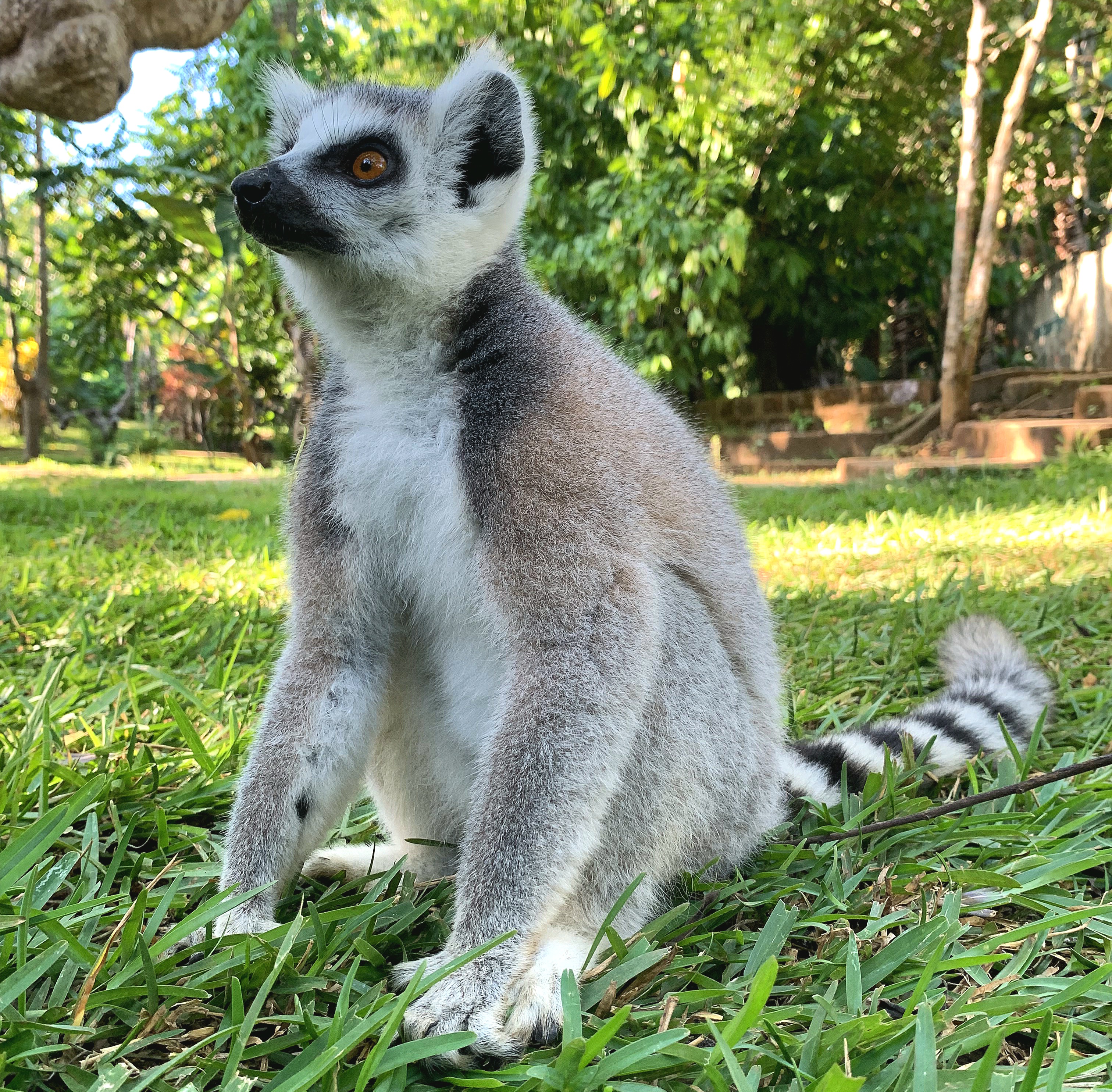 Działania na Nosy Iranja