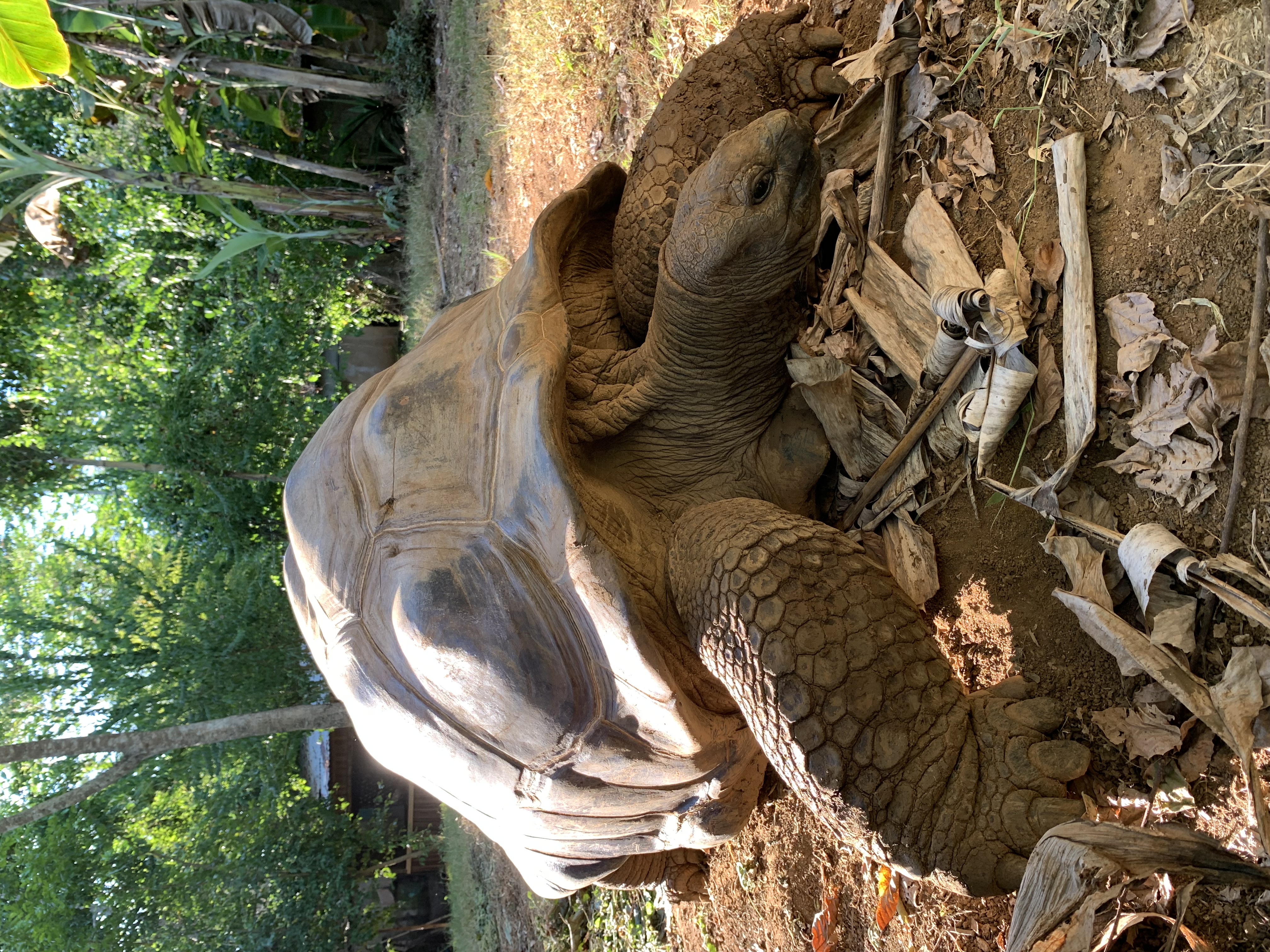 Działania na Nosy Iranja