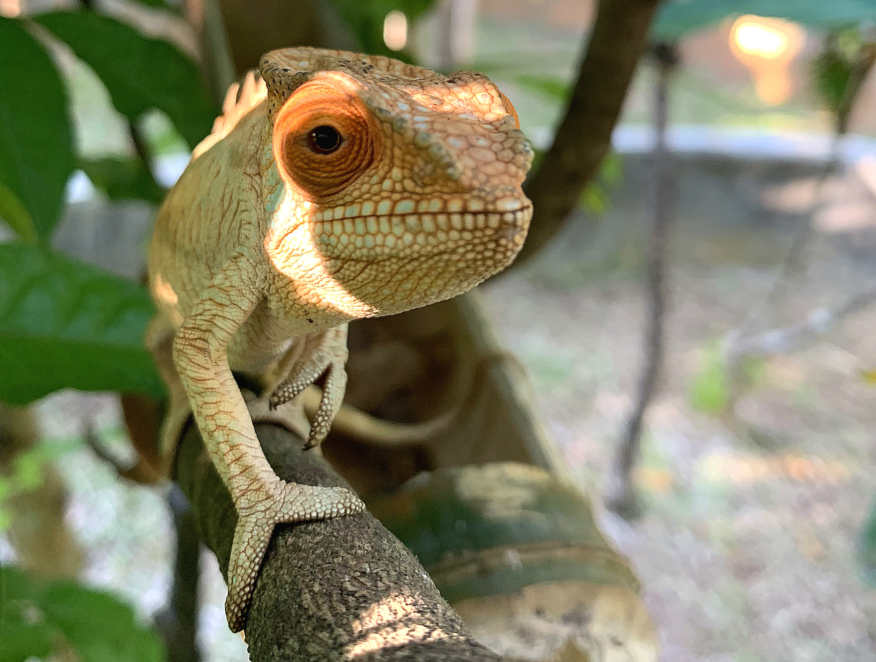 Działania na Nosy Iranja